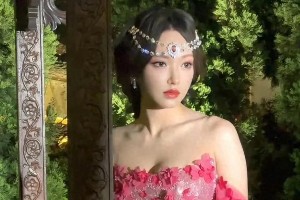 精彩图片展示：精选三张视觉盛宴
