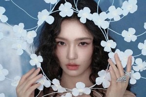 精选图片集锦：视觉盛宴一览