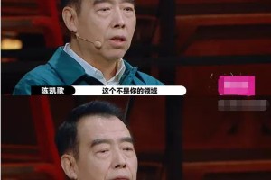 选角艺术：演员气质如何影响角色塑造