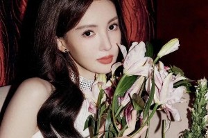 金晨容貌变化引热议：从清纯女神到舆论漩涡