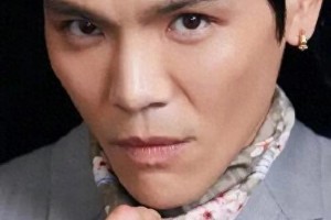 向佐：武术世家走出的演艺新星