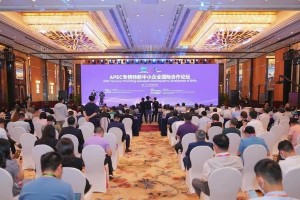 2023广东高考分数线公布，33.3万人上本科线