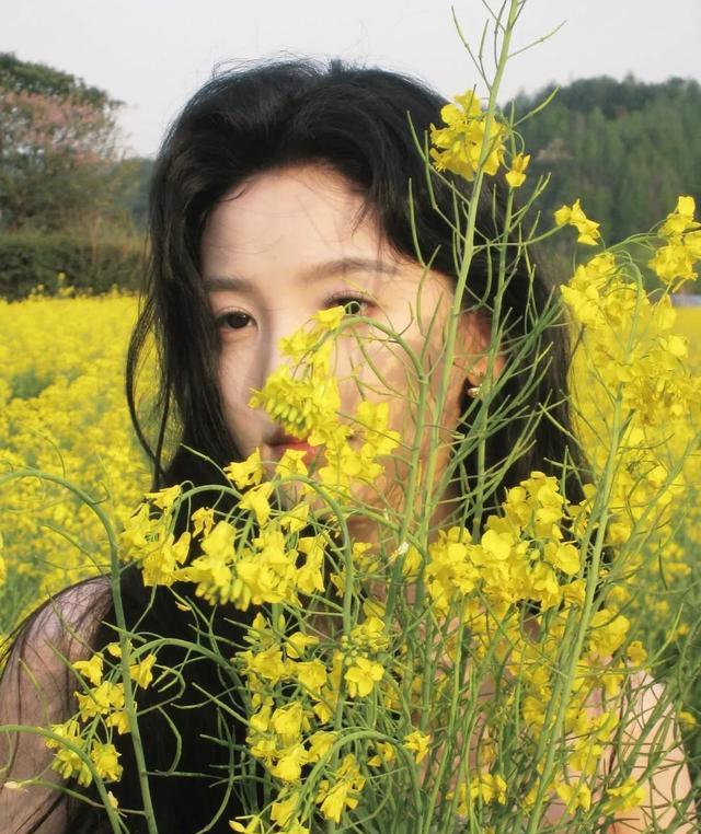 精美图片3